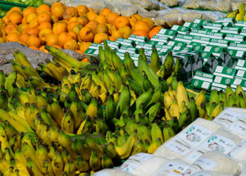 Lei amplia garantias para financiamentos do Pronaf — Senado Notícias