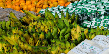 Lei amplia garantias para financiamentos do Pronaf — Senado Notícias