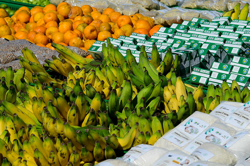 Lei amplia garantias para financiamentos do Pronaf — Senado Notícias