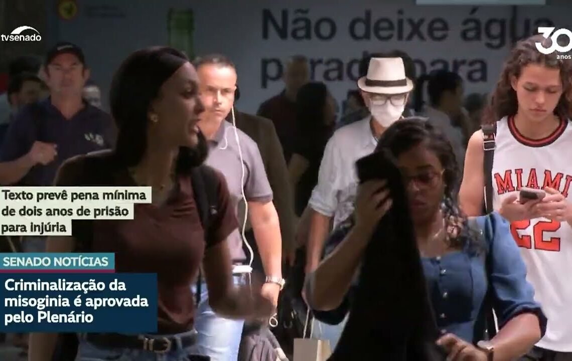 Vídeo: Vai à Câmara projeto que torna misoginia crime de discriminação