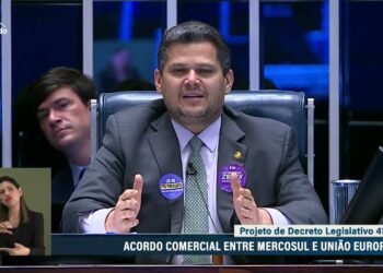 ‘Exemplo de luta para todas as brasileiras’, diz Alcolumbre sobre Maria da Penha — Senado Notícias