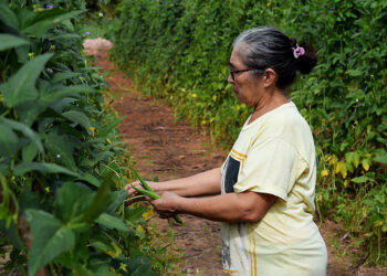 Lei acaba com multa em contagem de tempo anterior a filiação ao INSS — Senado Notícias
