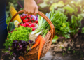 CRA vota projeto para facilitar doação de alimentos e combater desperdício — Senado Notícias