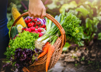 CRA vota projeto para facilitar doação de alimentos e combater desperdício — Senado Notícias