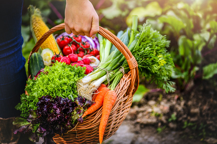 CRA vota projeto para facilitar doação de alimentos e combater desperdício — Senado Notícias