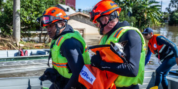 Política de proteção a animais resgatados em desastres agora é lei — Senado Notícias