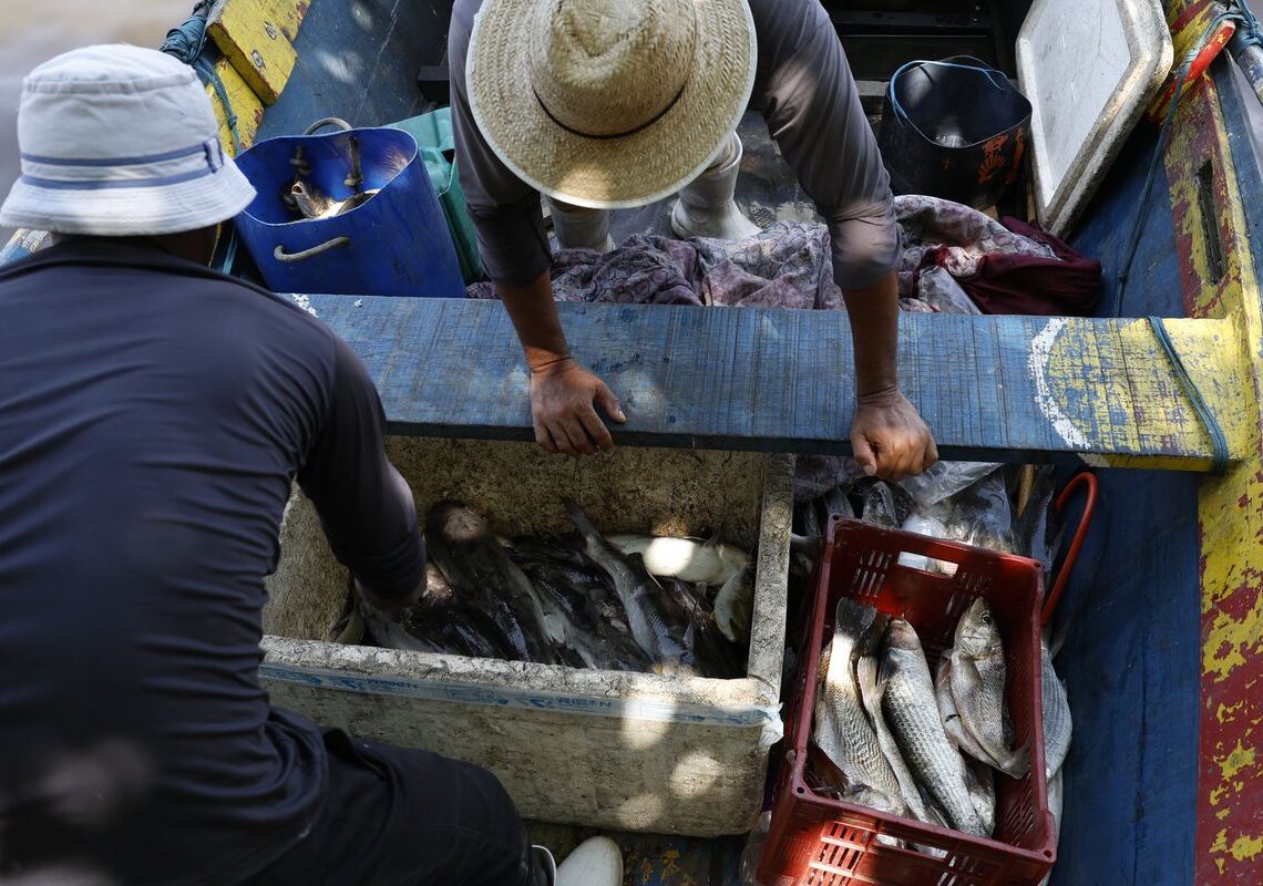 Pescadores beneficiados pelo Seguro-Defeso recebem 6º lote nesta terça