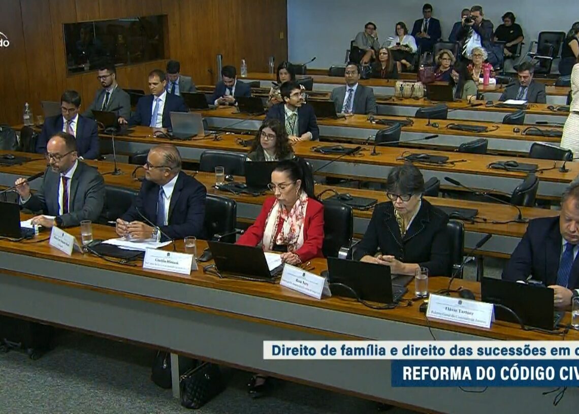Direito de Família e das Sucessões divide comissão de atualização do Código Civil — Senado Notícias