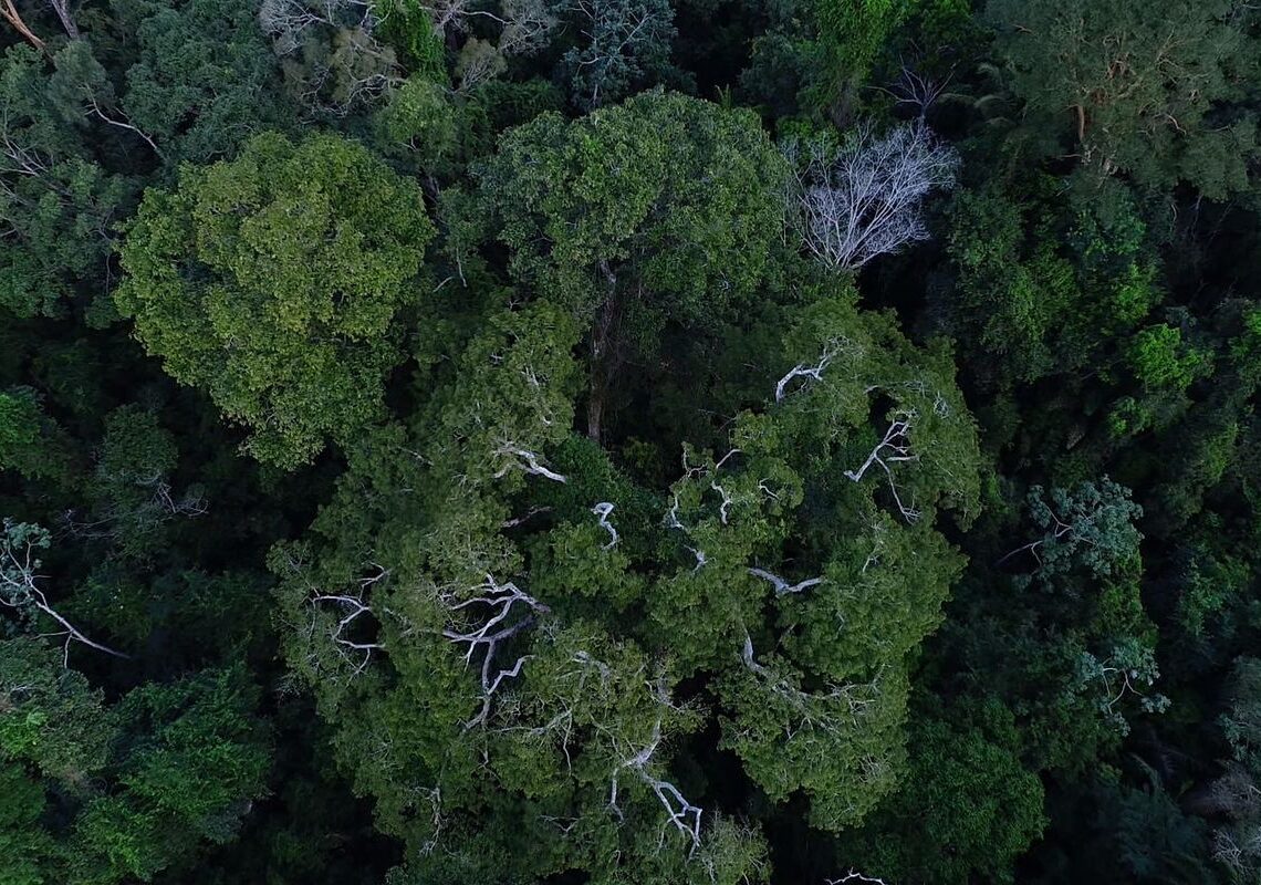 Previdência e BNDES querem incluir ESG na gestão de fundos de pensão