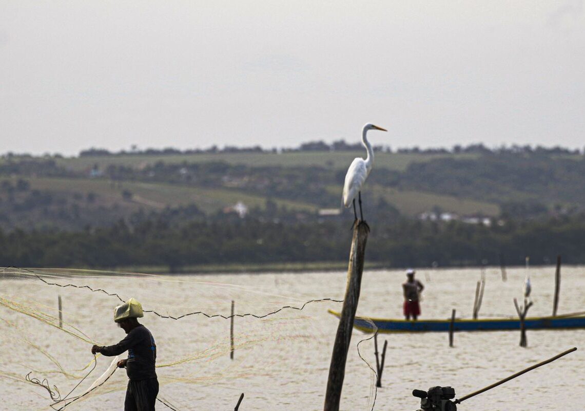 Sexto lote do seguro-defeso será disponibilizado na terça-feira