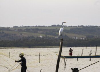 Sexto lote do seguro-defeso será disponibilizado na terça-feira