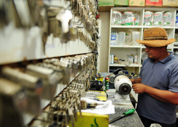 Acesso mais fácil ao Programa Nacional de Microcrédito já está em vigor — Senado Notícias