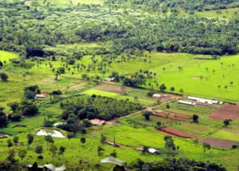 CAE analisa isenção de ITR em terras invadidas e mantém litígio sob a União — Senado Notícias