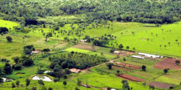 CAE analisa isenção de ITR em terras invadidas e mantém litígio sob a União — Senado Notícias