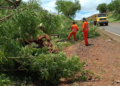 MP destina R$ 20,4 milhões para áreas atingidas por tornado no Paraná — Senado Notícias