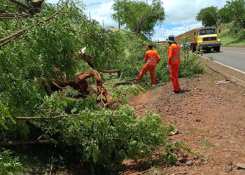 MP destina R$ 20,4 milhões para áreas atingidas por tornado no Paraná — Senado Notícias