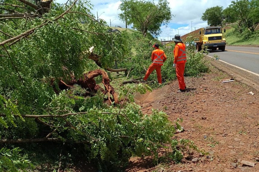 MP destina R$ 20,4 milhões para áreas atingidas por tornado no Paraná — Senado Notícias