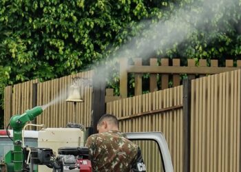 Mato Grosso do Sul vai receber vacina em projeto contra Chikungunya