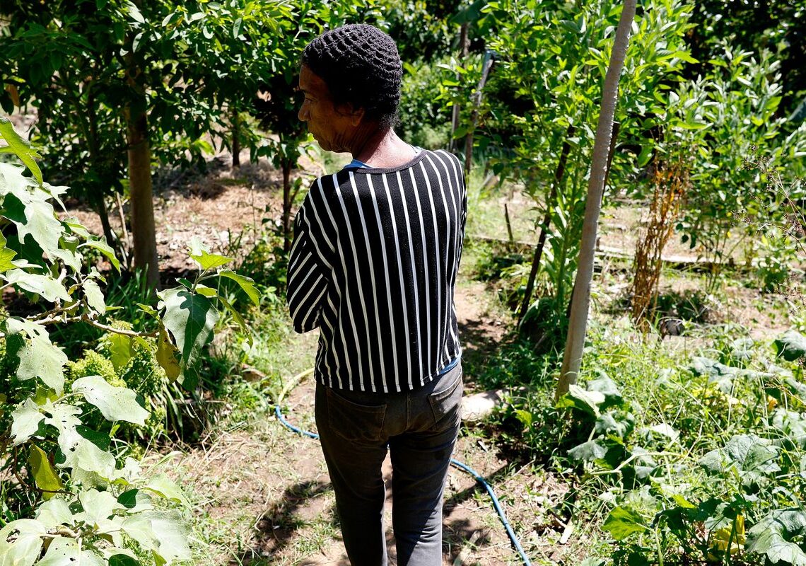 Horta comunitária reúne memória, cuidado e cidadania em favela do Rio