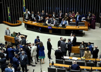 ano eleitoral dificulta análise de vetos polêmicos, aponta consultor — Senado Notícias