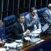 Senado reconhece estágio como experiência profissional