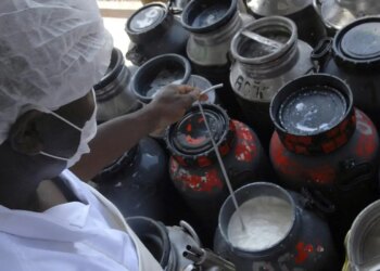 CMN libera linha de capital de giro a cooperativas de leite no Pronaf