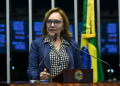 Zenaide apoia criação do Dia Nacional em Memória das Vítimas da Covid-19 — Senado Notícias