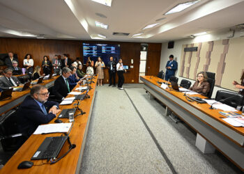 CE terá debates sobre gestores de frotas e pequenos investidores — Senado Notícias