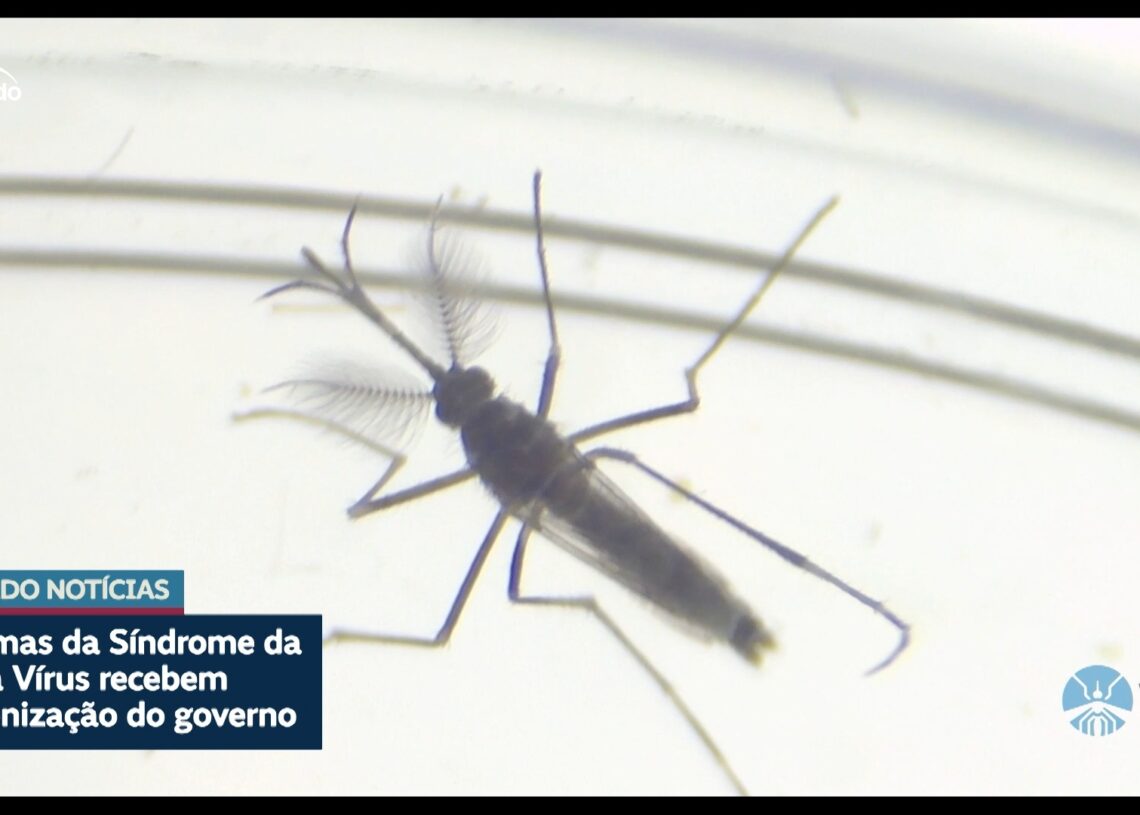 Vítimas de zika vírus recebem indenização do governo — Senado Notícias