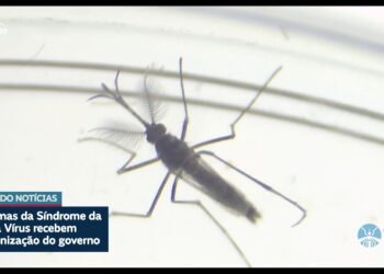 Vítimas de zika vírus recebem indenização do governo — Senado Notícias