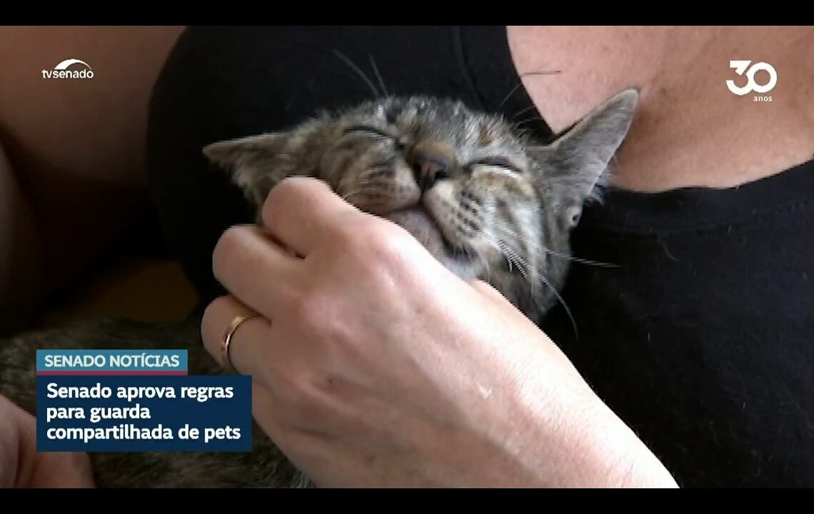 Vai à sanção projeto sobre guarda compartilhada de animais de estimação — Senado Notícias