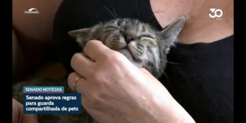 Vai à sanção projeto sobre guarda compartilhada de animais de estimação — Senado Notícias