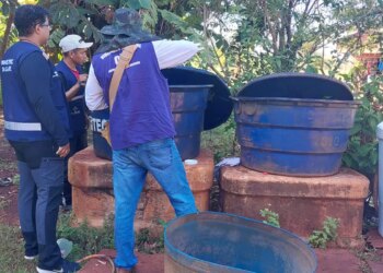 Chikungunya: ministro classifica de crítica situação em Dourados