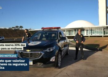 CSP vota convite a diretor da PF e reserva de vagas para mulheres na segurança — Senado Notícias