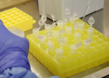 SP confirma segundo caso importado de sarampo