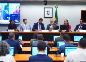 Debatedores pedem que STF garanta auxílio a vítimas de Brumadinho – Notícias