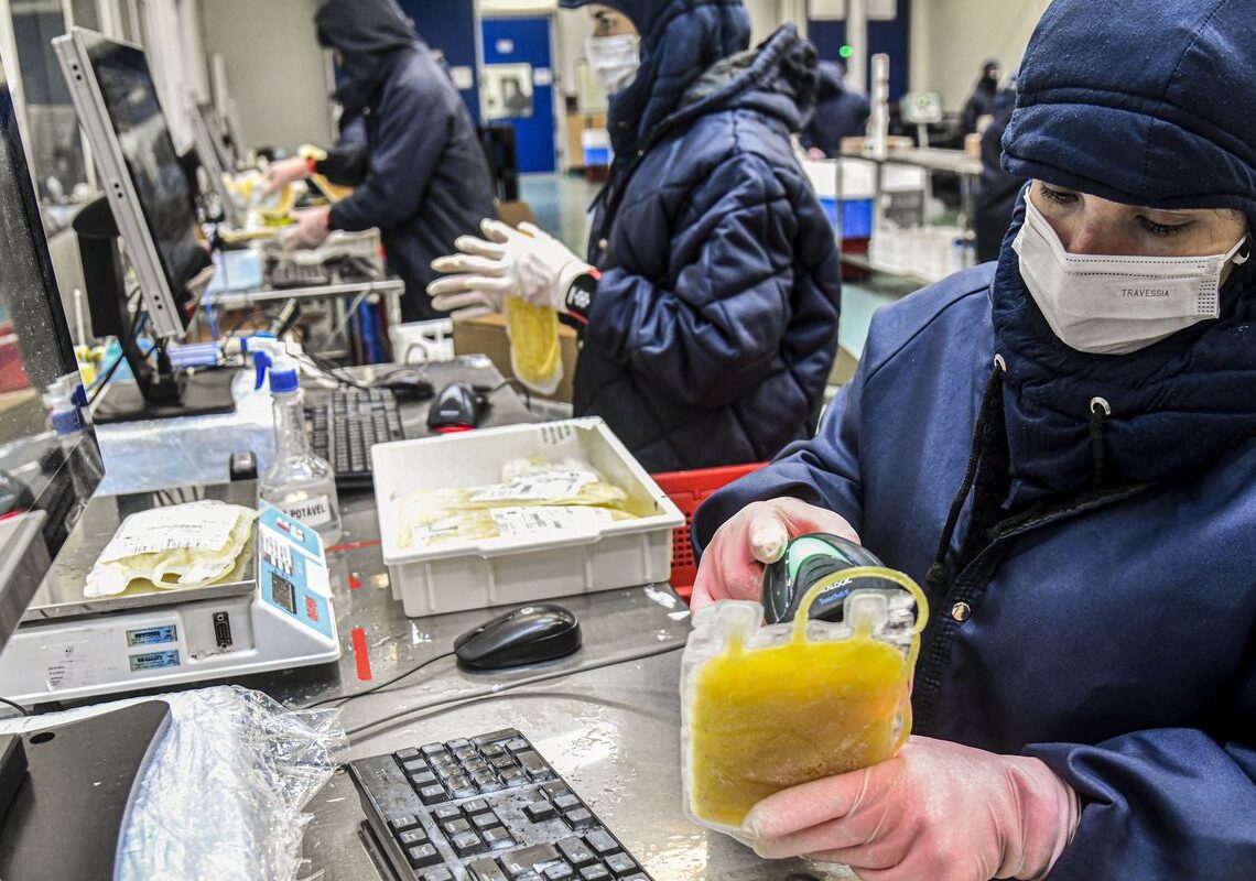 Dia Mundial da Hemofilia: campanha reforça importância do diagnóstico