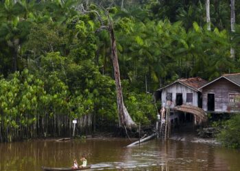 Projeto leva tratamento gratuito a doenças negligenciadas no Amazonas