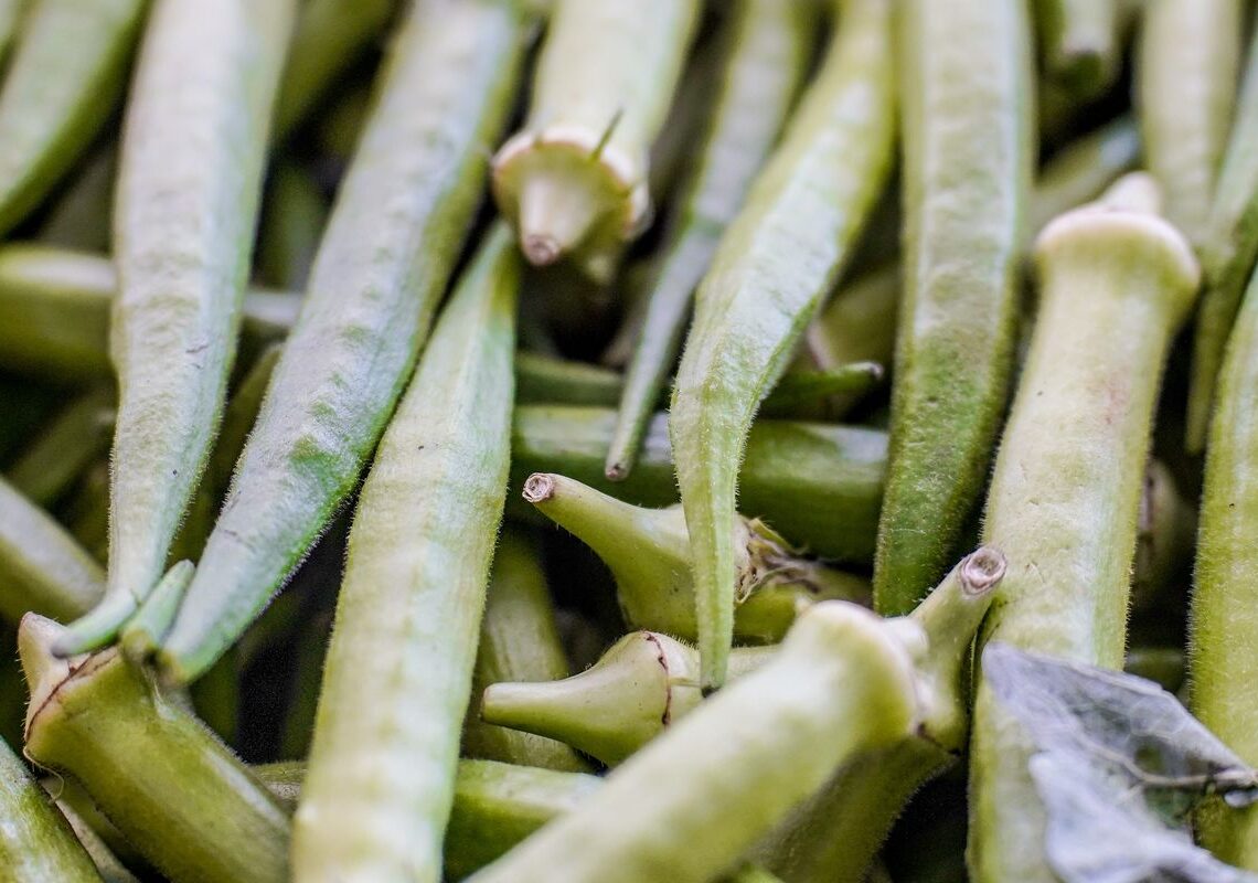 Garantia-Safra: veja lista dos que receberão pagamento em abril