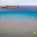 Petrobras investe em monitoramento sísmico em subsolo marinho