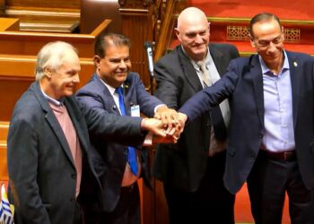 No Parlasul, Nelsinho Trad defende acordo Mercosul-UE — Senado Notícias