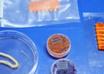 Embrapa produz em laboratório salmão, caviar e anéis de lula veganos
