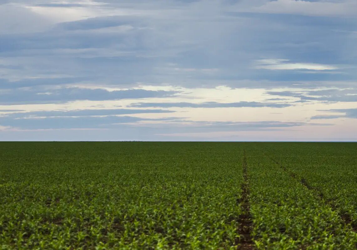 Fazenda estuda Fundo Garantidor para dívidas rurais