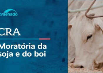 CRA debate a moratória da soja em Mato Grosso – 6/5/26 — Senado Notícias