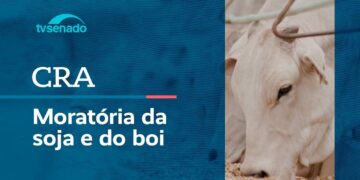 CRA debate a moratória da soja em Mato Grosso – 6/5/26 — Senado Notícias