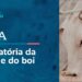 CRA debate a moratória da soja em Mato Grosso – 6/5/26 — Senado Notícias