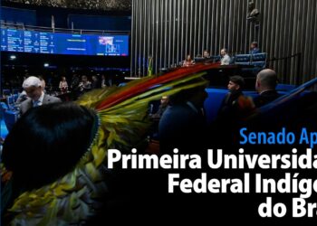 Primeira Universidade Federal Indígena do Brasil — Senado Notícias