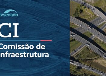 CI realiza reunião deliberativa – 19/5/26 — Senado Notícias