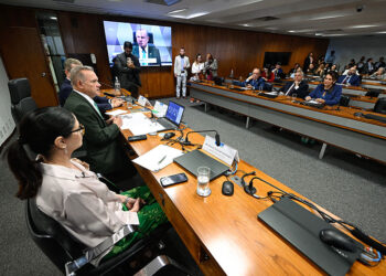 Moratórias da soja e do boi punem produtores, para debatedores na CRA — Senado Notícias