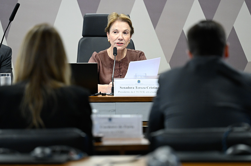 Debatedores afirmam que novo Código Civil pode incentivar invasão de imóveis — Senado Notícias